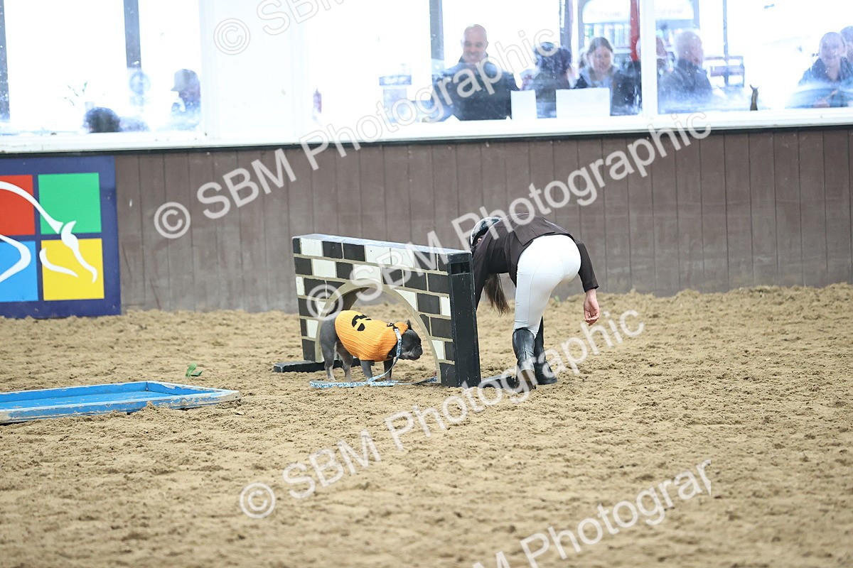 SBM_001196 - Class 3 - Horse & Hound 60cm
