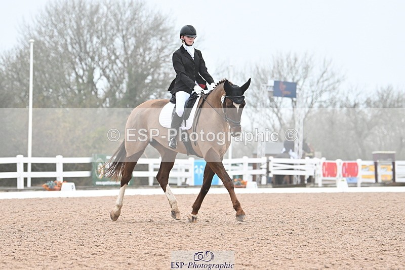 240217A-095235-00467 - 123-Daisy.Hedges-Felicia.v