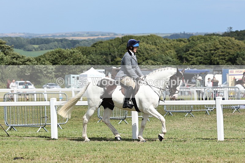 JPP_2264 - Class 19: Working Hunter 60cm