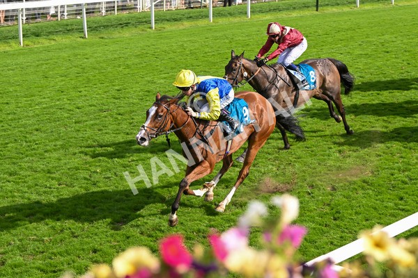 230824-Race 5-Canoodled-9752 - Race 5 4.10pm Assured Data Protection EBF Fillies' Handicap