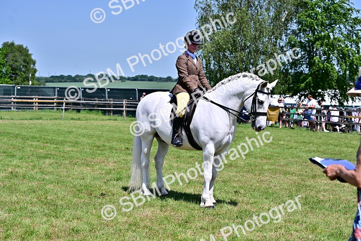 SBM_15339 - Class 95-97 - BSPS LHS Performance Ponies