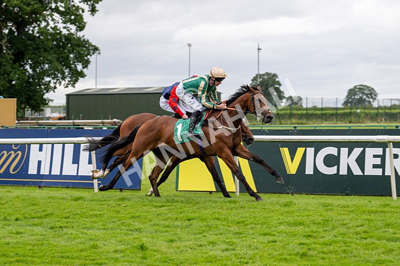 030724-Race 2-The Crafty Mole-0533 - Race 2