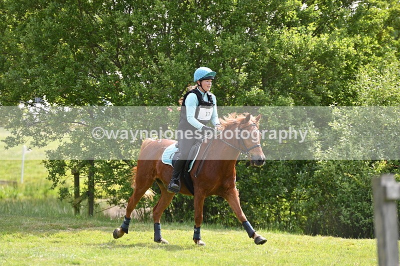 WJ5_2620 - Class 2 40cm