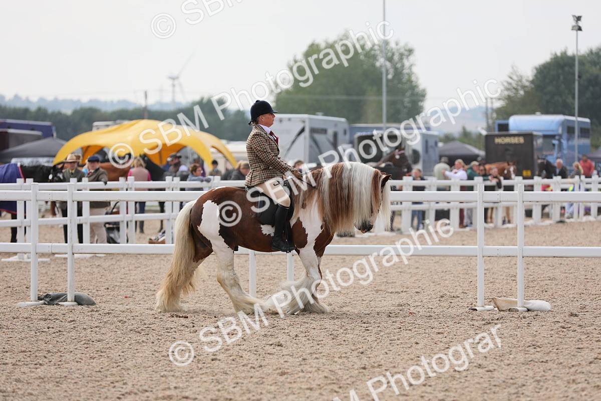 SBM_12654 - Class 307 Ridden Coloured Pony