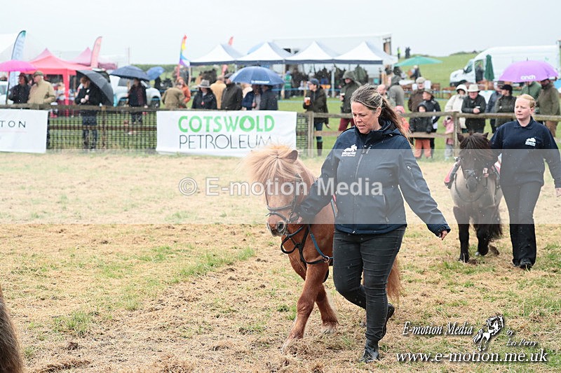 SHETPR 210425 15 - Shetland Ponies Paxford Races 21/04/25