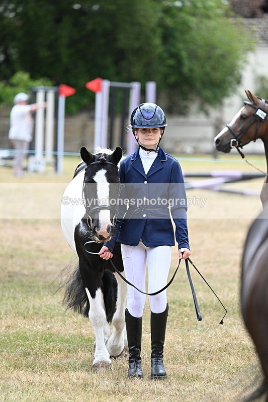 WJ7_1402 - Class 4 Prettiest Mare up to 14.2hh in hand