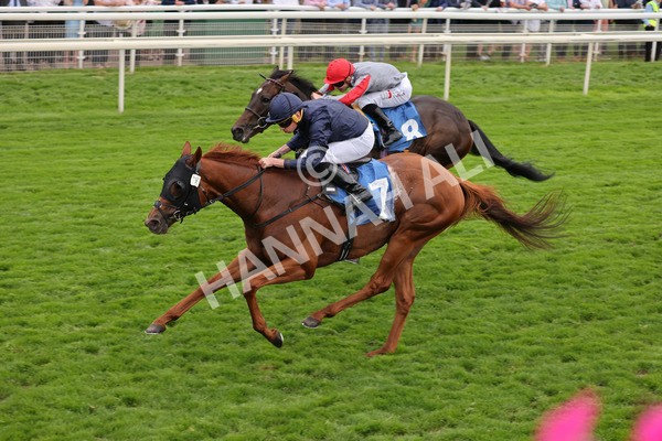yr20082021r7-28 - Race 7 5.10pm Sky Bet Mile