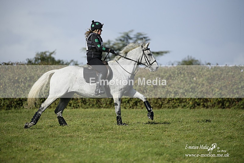  WWHT 031021 1336 - Open Novice (0.80m) 03/10/21