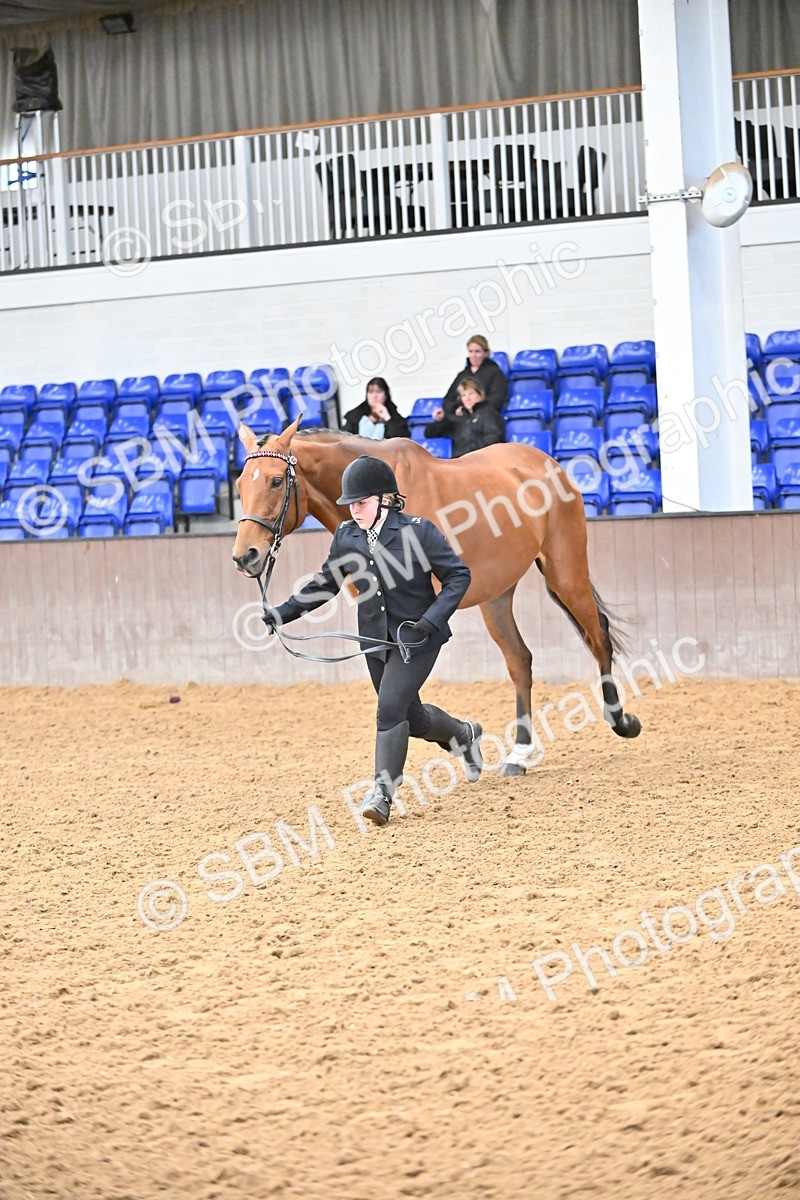 SBM_000228 - Class 7 - ROR Tattersalls In Hand