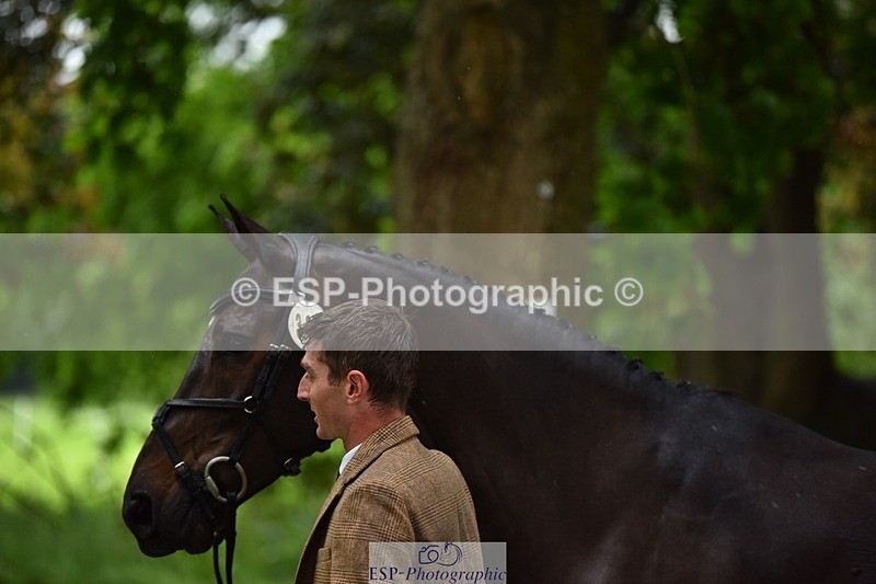 240522-152150-00285 - 325-MIDNIGHT_ENDEAVOUR-Tom_Jackson