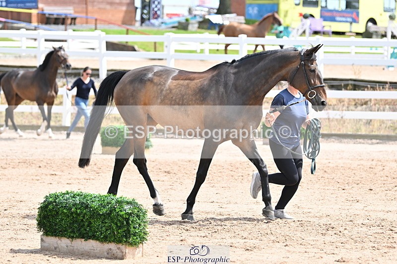 240717A-144637-02282 - Trot Up 2pm to 3pm - This folder is not in time order