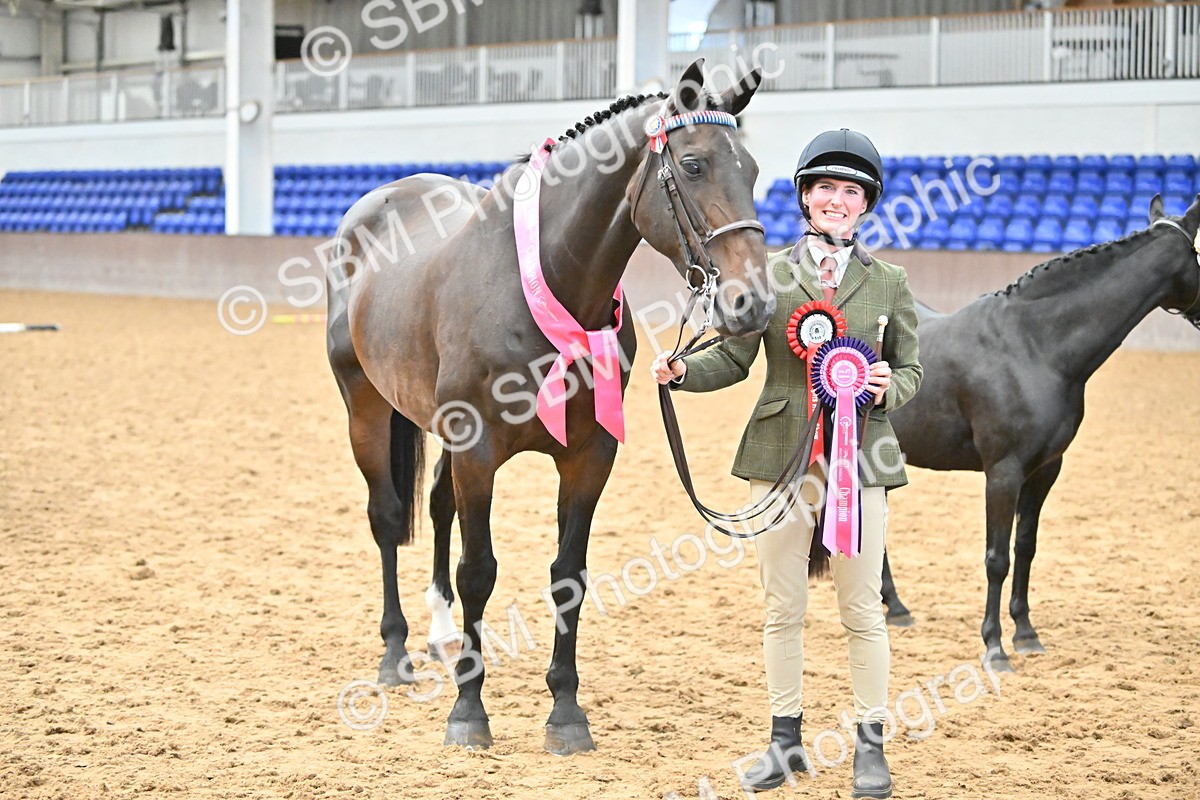 SBM_000741 - Class 14 - SSADL In Hand Championships