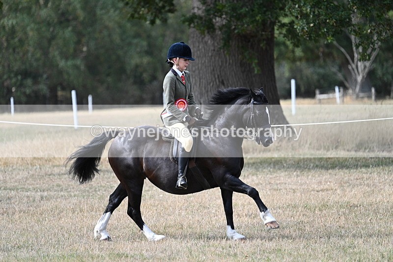 WJ7_7694 - Ridden Championship