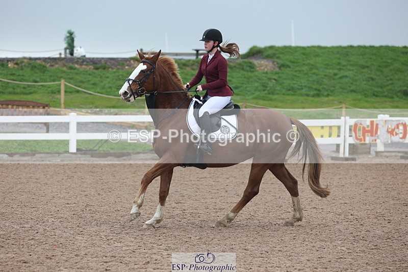 231112A-100012-03163 - Cls 17 Blue Chip Novice Winter Qualifier
