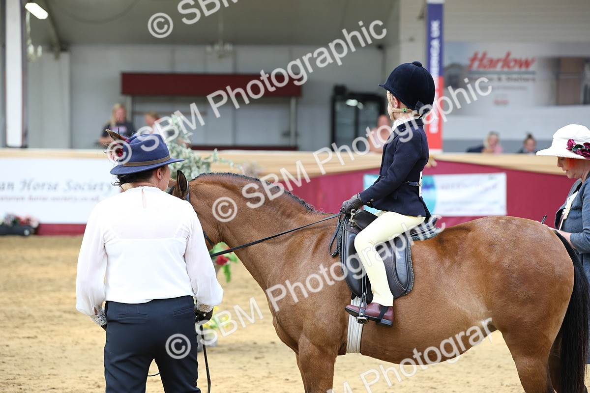 SBM_24100 - Class 905 - Supreme Final - Ridden Veteran
