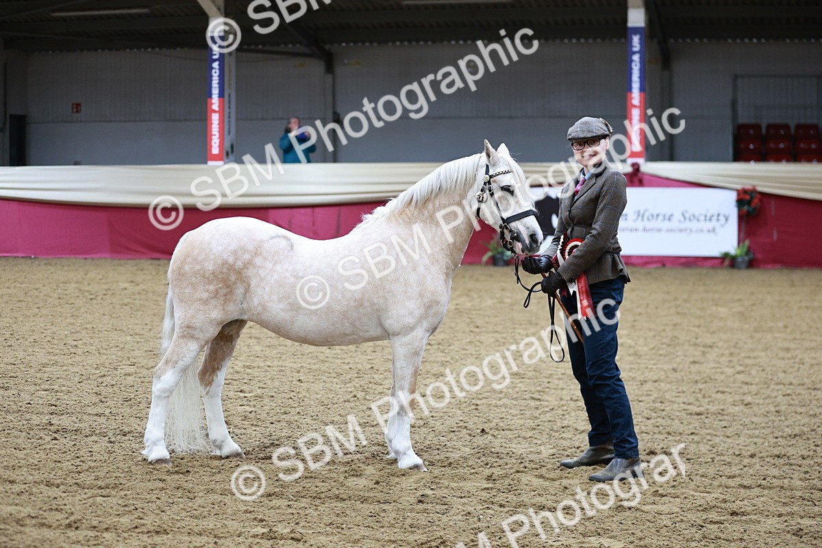SBM_00325 - Class 1A - Area IH Diamond