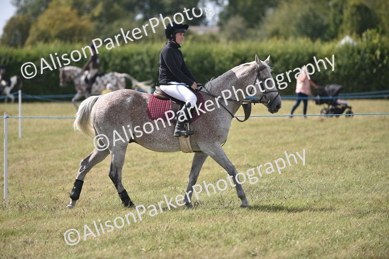 20260906-2697 - Class 13 - Working Hunter Horse or Pony