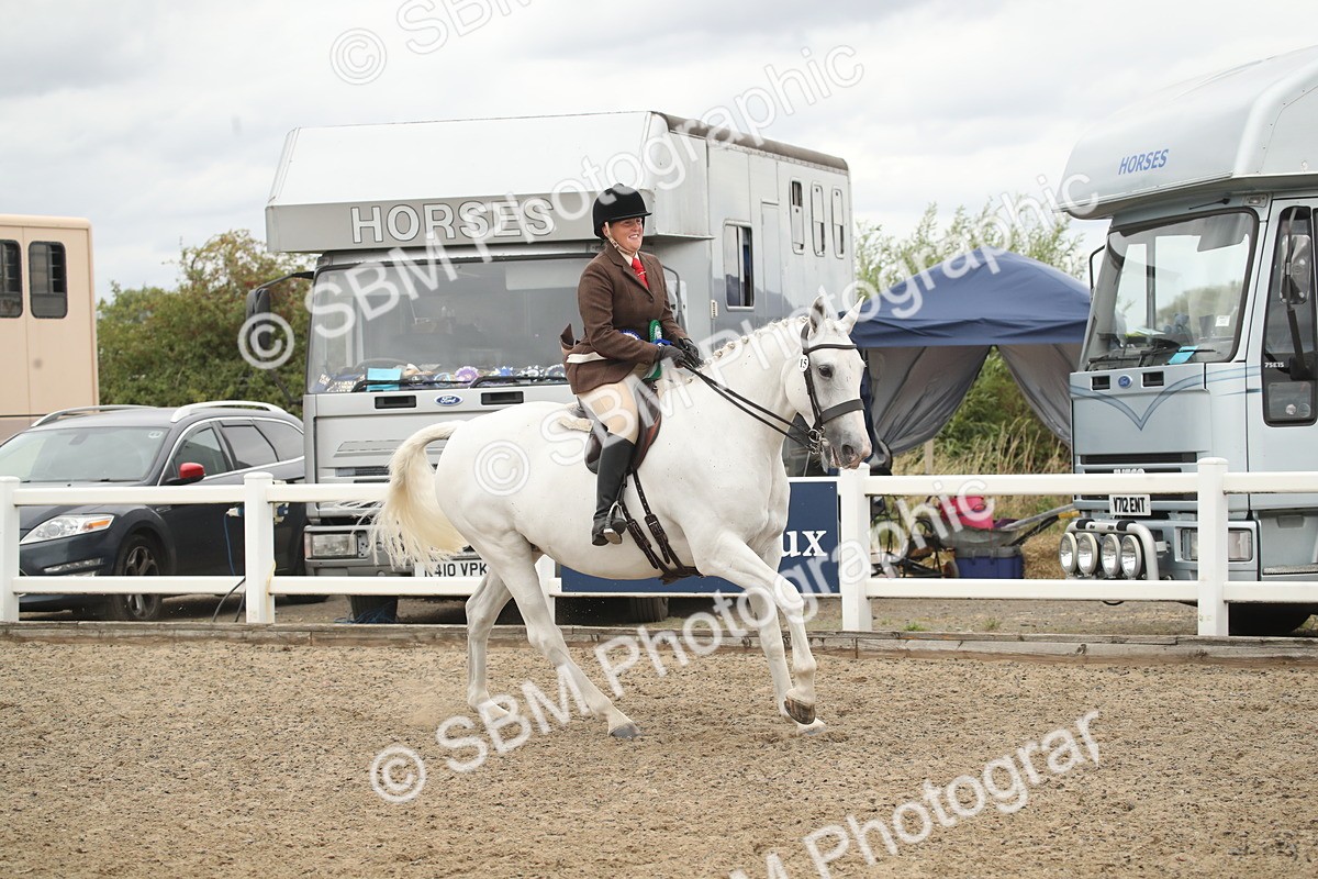SBM_18342 - Class 509a - Working Veteran - 80cm (15-19)
