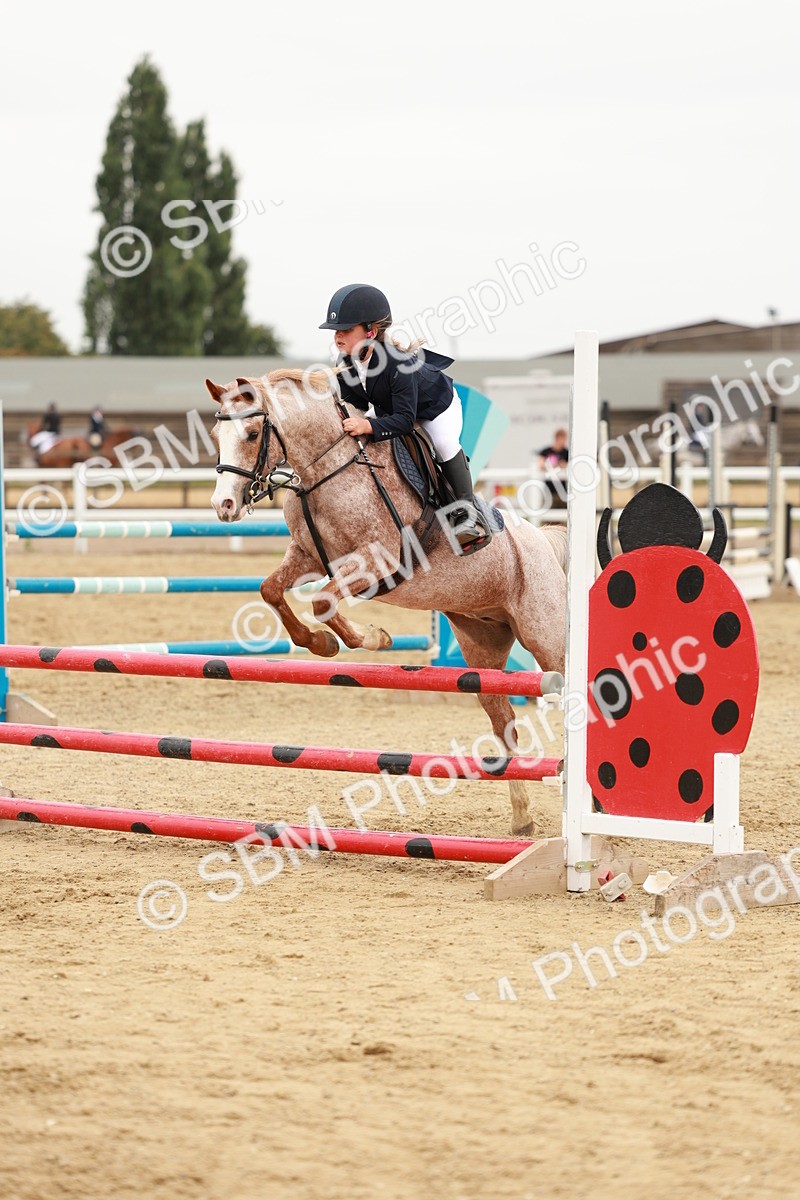 SBM_008417 - Class 5 - 80cm