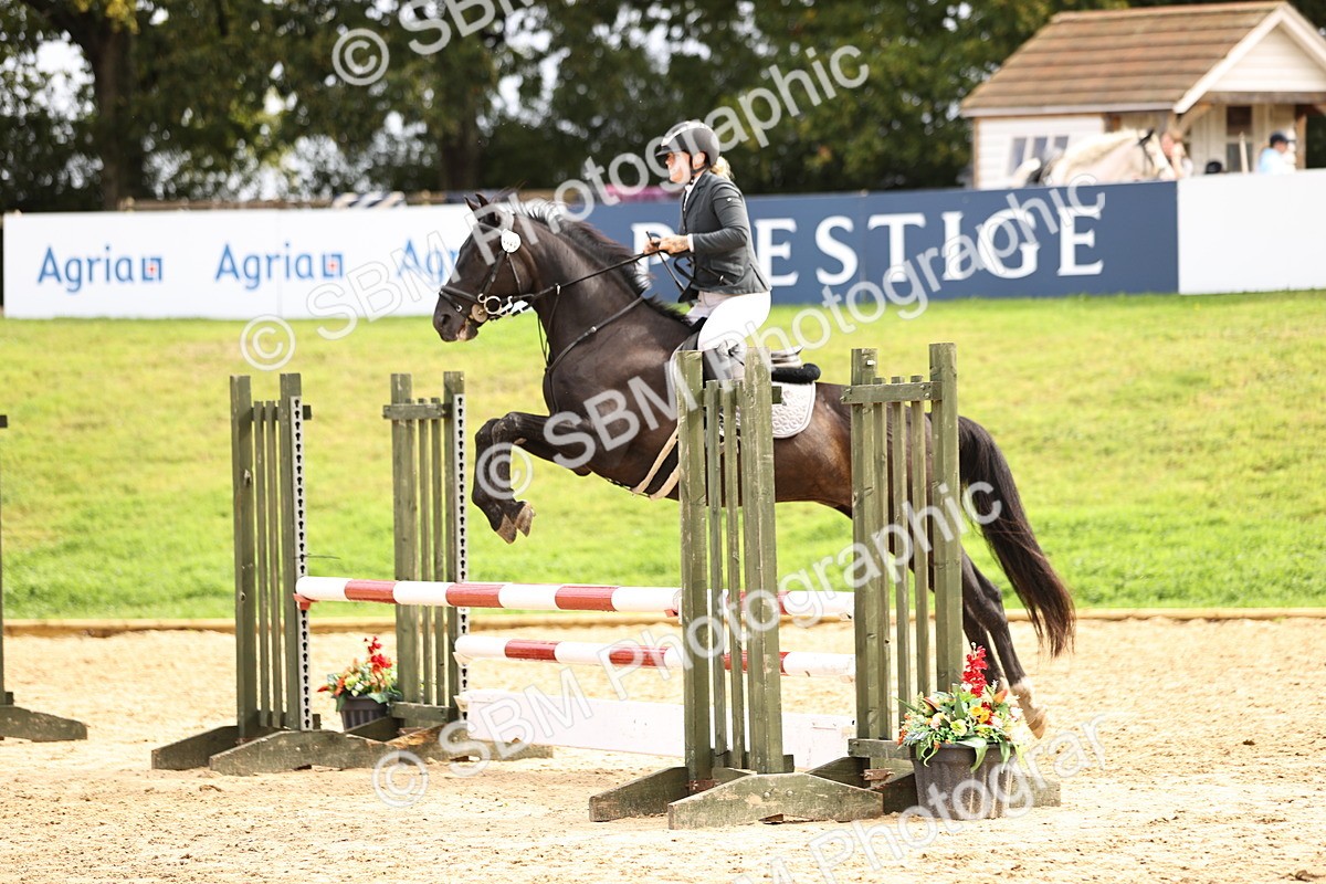SBM_41047 - J40 Senior Horse & Pony 90cm Supreme Championship