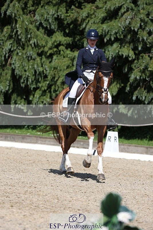 230526-151026-06646 - 378-CLASS_SPEC-Susie_Eddis-WEDTrotUp+DR