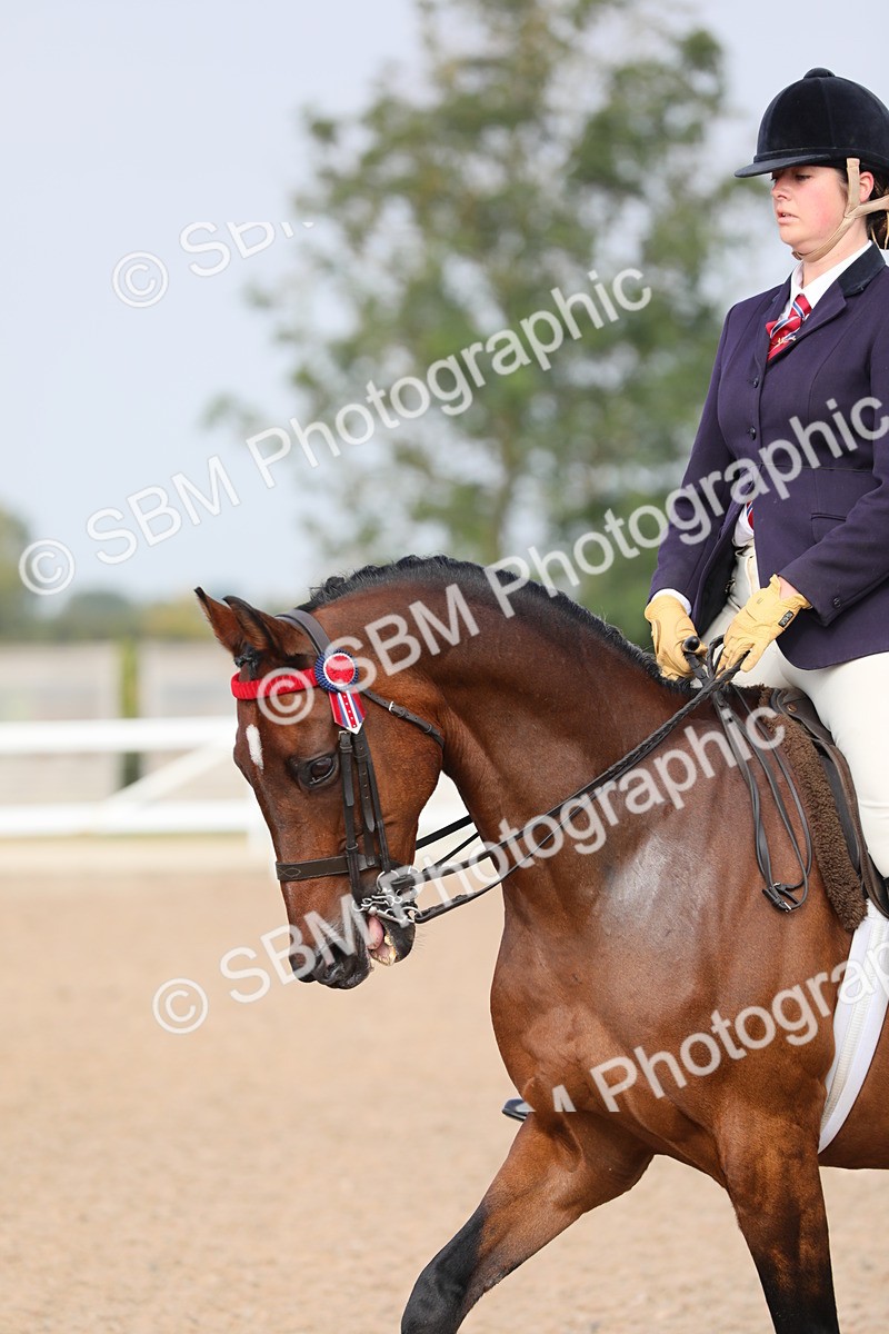 SBM_10885 - Class 304 Ridden Part Bred Horse/Pony