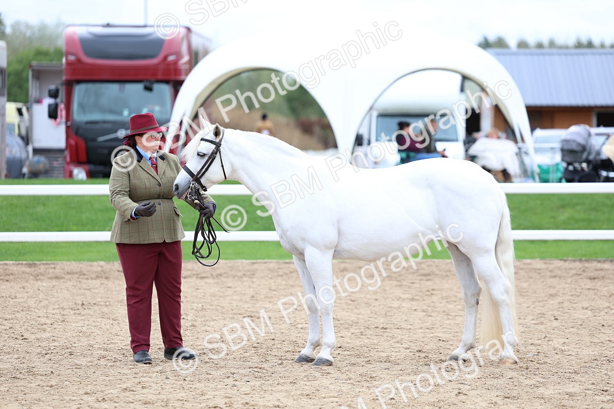 SBM_05919 - Class 29 - IH Veteran Pony