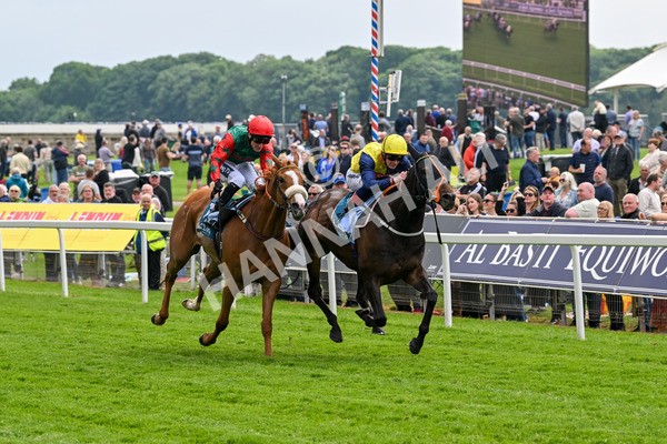 160524-Race 2-Point Lynas-5428 - Race 2 2.45pm Oakmere Homes Hambleton Handicap