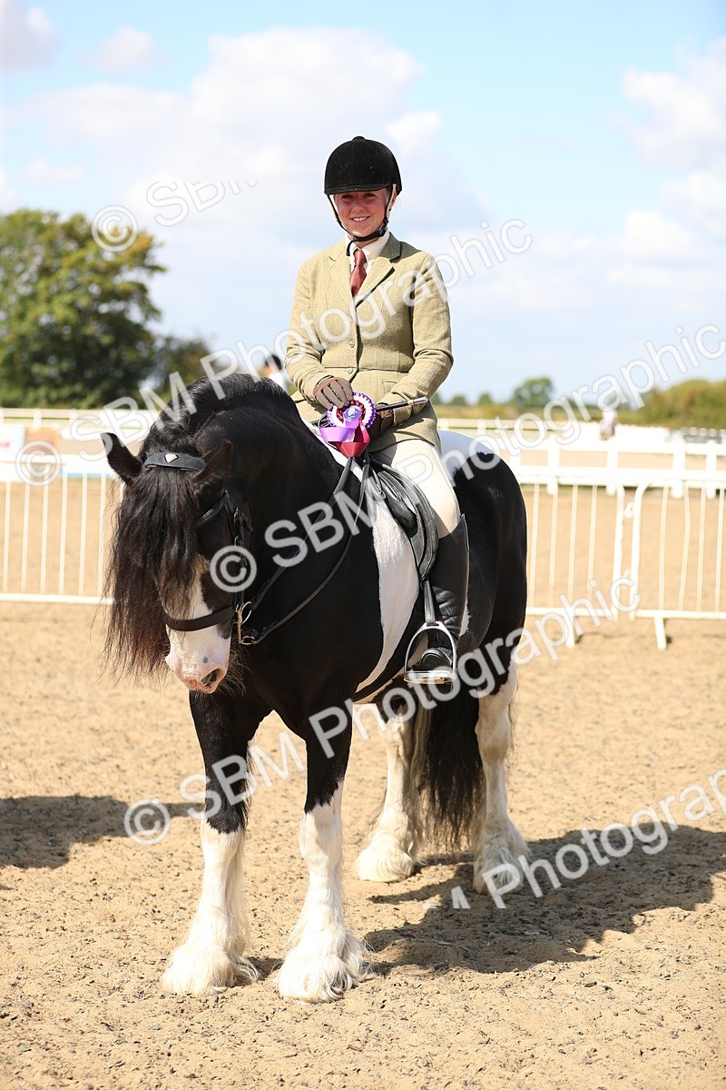 SBM_03294 - Class 44 Riding Club Horse/ Pony
