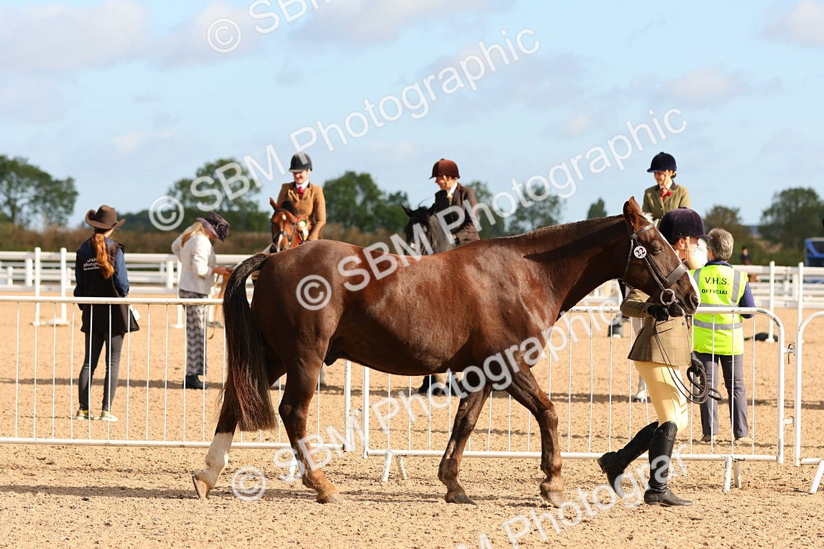 SBM_09183 - Class 204 - Young Handler