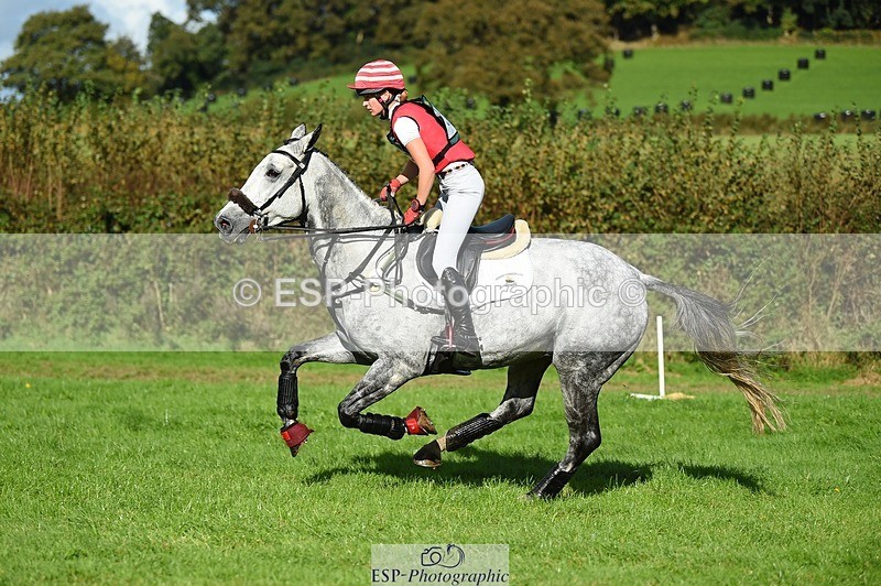 231022-125634-28366 - 316-I.ELLIE.JAY.BUMBLE-Henrietta.Ewell-XC