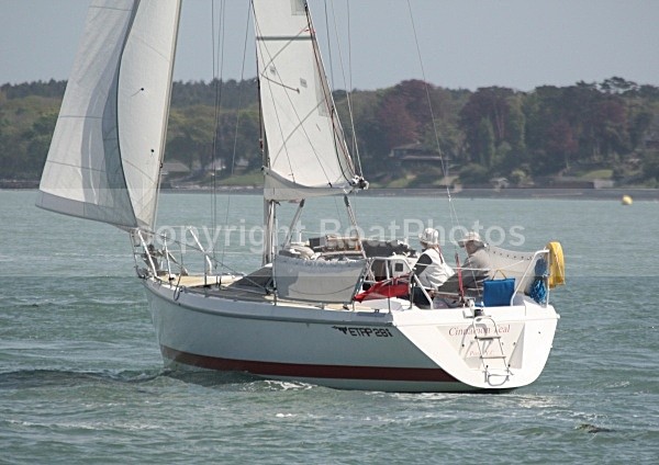 090502 CINNAMON TEAL IMG_6915 - Sailboats - monohull