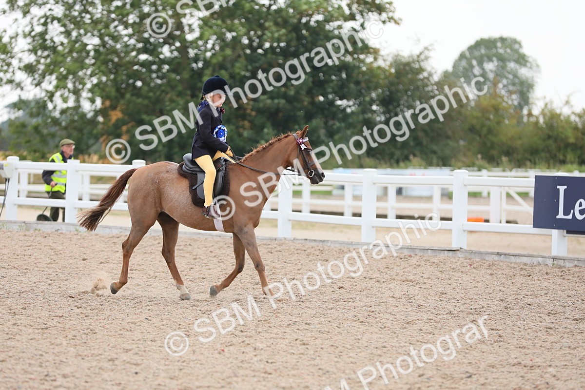 SBM_18256 - Class 316 Best Pony/Rider Combination