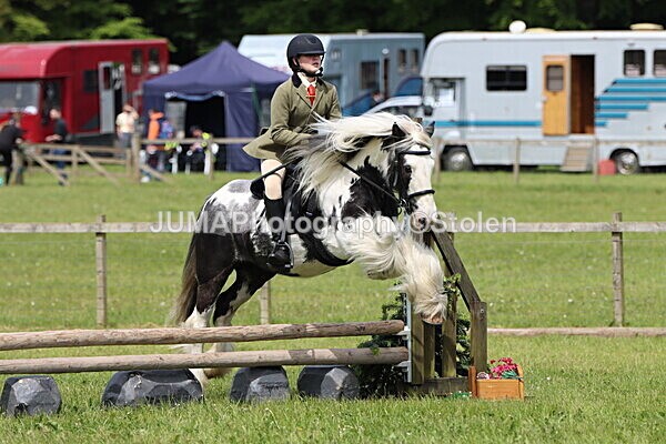IMG_3171 - Working Hunter