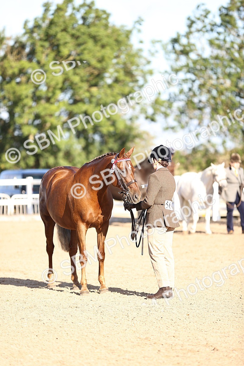 SBM_08453