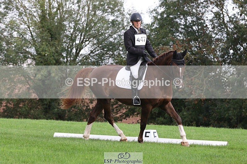 231019-143703-04032 - 447-STALLONE-Andrew.Winterton-DR