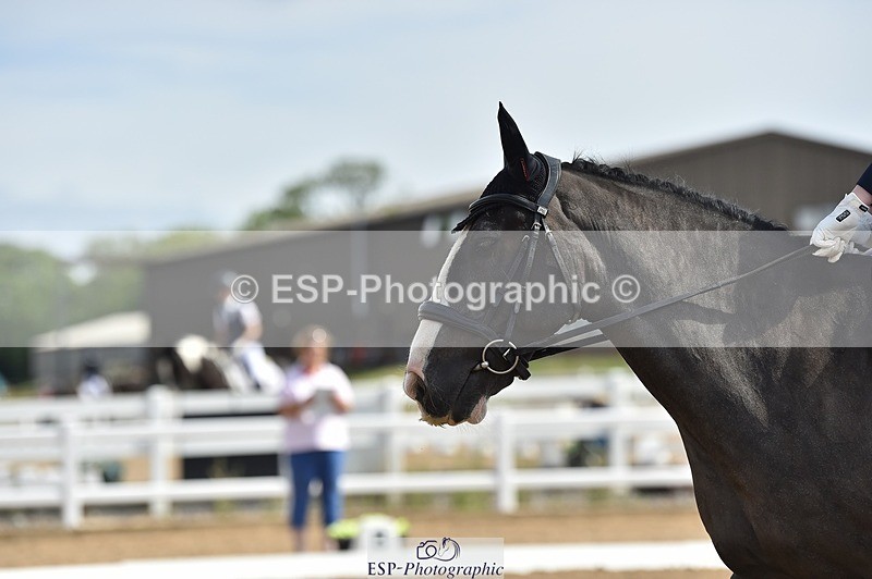 250622-101158-12889 - Quest Cls 19-24 Intro Tests