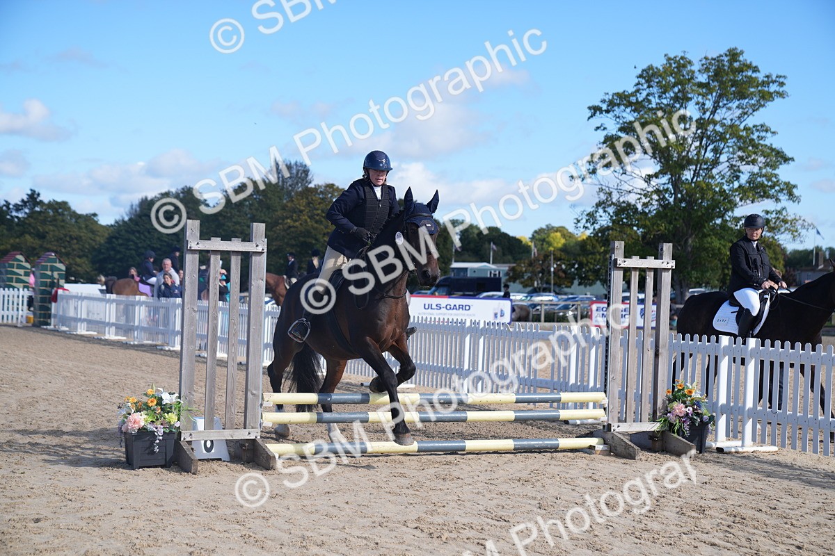 SBM_02409 - J54 Clear Round 45cm