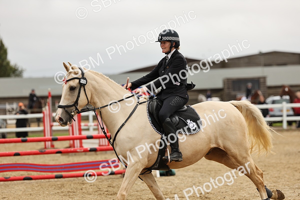 SBM_006777 - Class 75 - 95cm