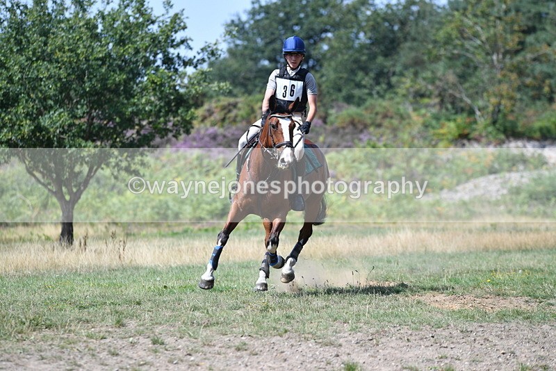 WJ5_2819 - XC Time 12:35 to 12:59