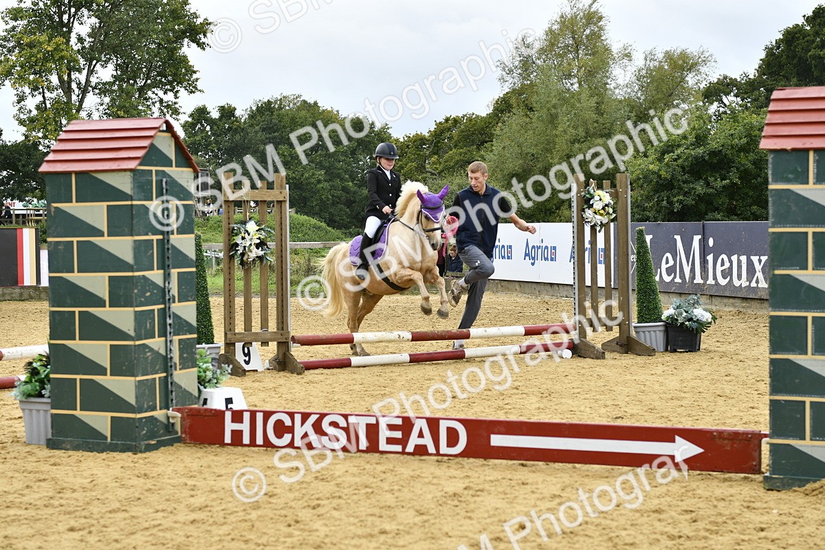 SBM_62714 - J1 - Mini Tour Junior Pony Lead Rein 30cm Championship