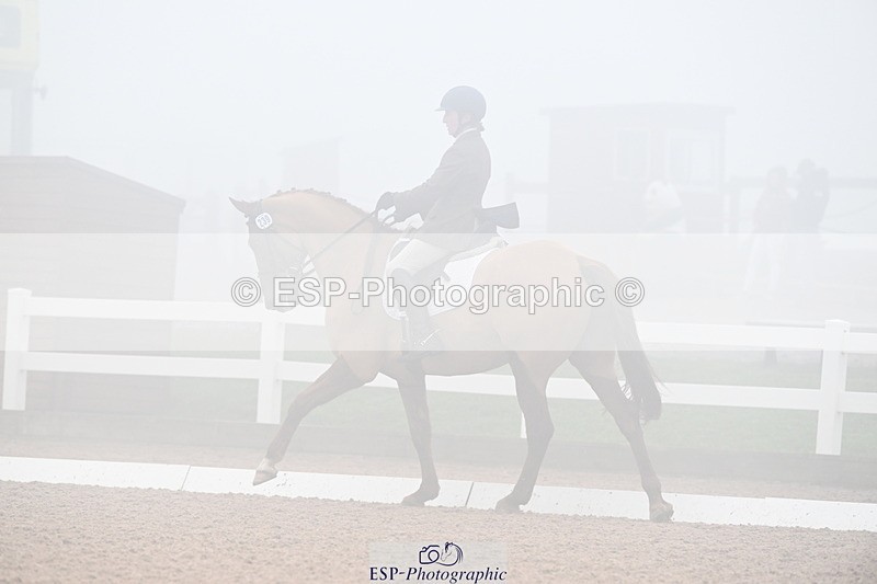 240217A-130515-02746 - 239-Sophie.Hawke-Dionysus