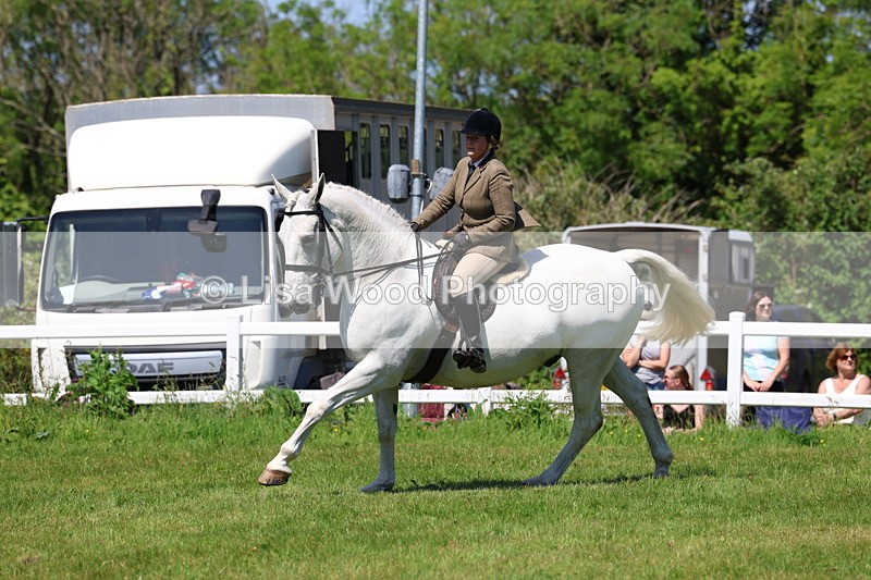 3E7A8337 - Class 13: Ridden Hunter