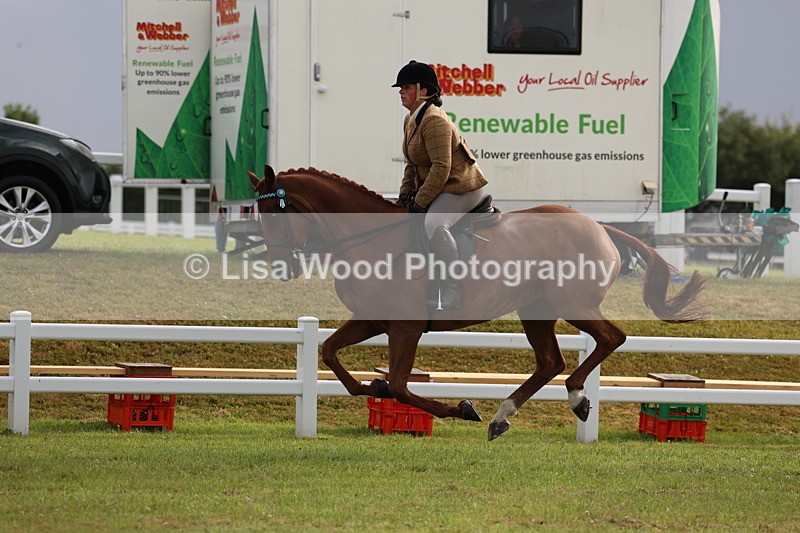 3E7A8116 - Class 2: Rising Star Large Hack/Riding Horse