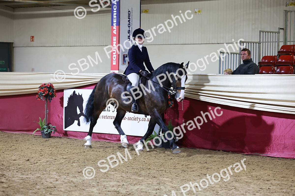 SBM_21340 - Class T - Working Veteran Champs