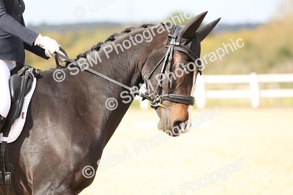 SBM_002081 - Class 5 - Elementary 4