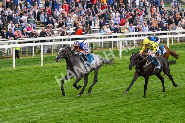 160524-Race 7-London City-6860 - Race 7 5.20pm Collective Green Energy Handicap