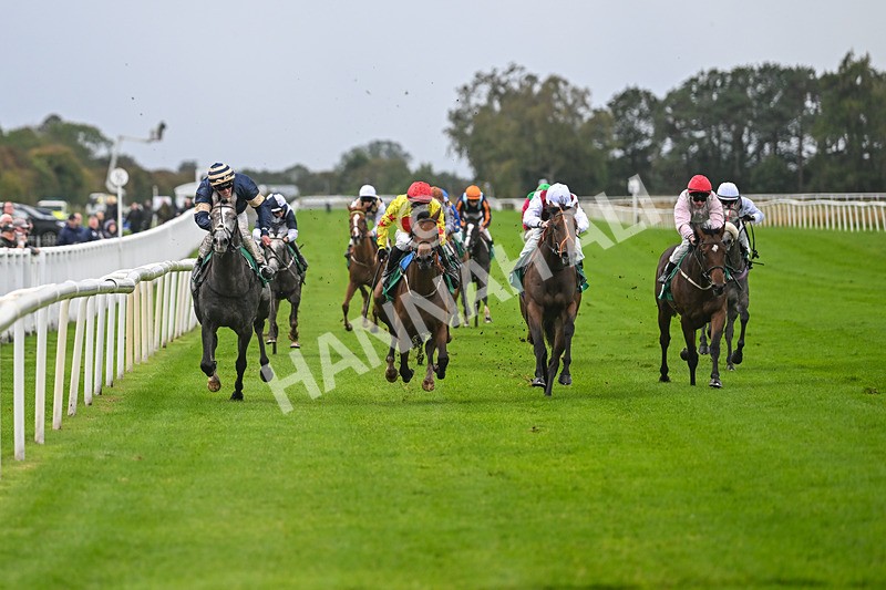 150925-Race 2-Rum Therapy-2365 - Race 2