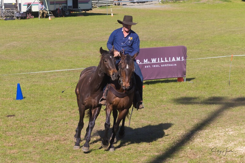 Guy McLean 6. 0A3A9295 - 2025 Senic Rim Clydesdale Spectacular