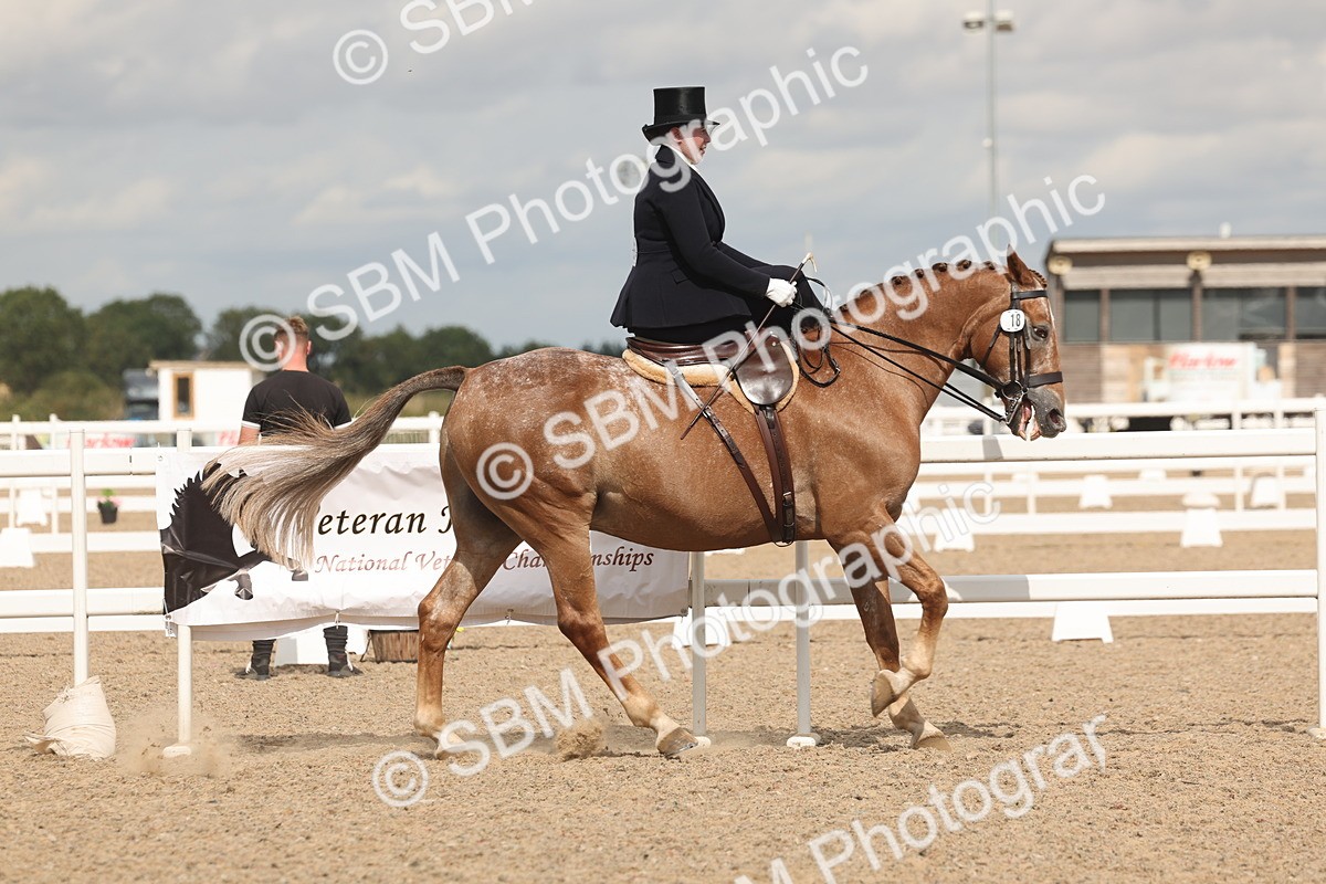 SBM_06372 - Class 22 - SSA - Equitation